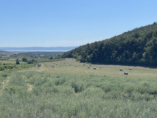 Eladó mezogazdasagi ingatlan, Dörgicsén 310 M Ft