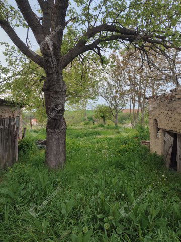 Eladó családi ház, Bajnán 22.99 M Ft, 3 szobás