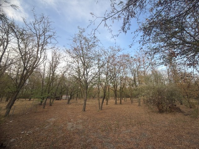 Eladó telek, Dunavarsányban 9.5 M Ft / költözzbe.hu