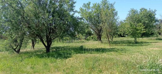 Eladó mezogazdasagi ingatlan, Mohácson 6 M Ft, 2 szobás
