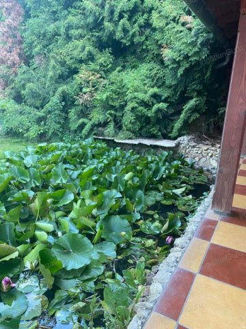 Eladó családi ház, Kecskeméten 46.9 M Ft, 2 szobás