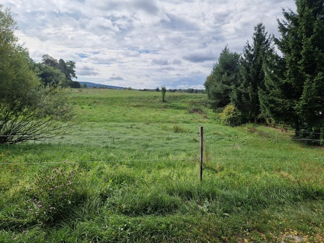 Eladó telek, Bakonybélben 33 M Ft / költözzbe.hu