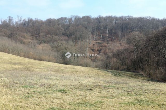 Eladó mezogazdasagi ingatlan, Alsónemesapátiban 55 M Ft