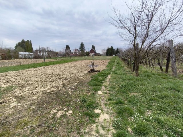 Eladó nyaraló, Galambokon 5.8 M Ft, 2 szobás