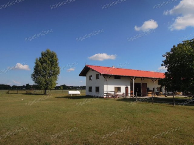 Eladó mezogazdasagi ingatlan, Lajosmizsén 307.5 M Ft