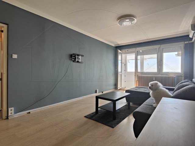 Eladó panellakás, Székesfehérvárott, Palotai úton 51.9 M Ft