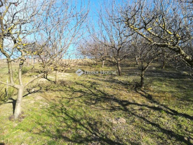 Eladó telek, Ádándon 25 M Ft / költözzbe.hu