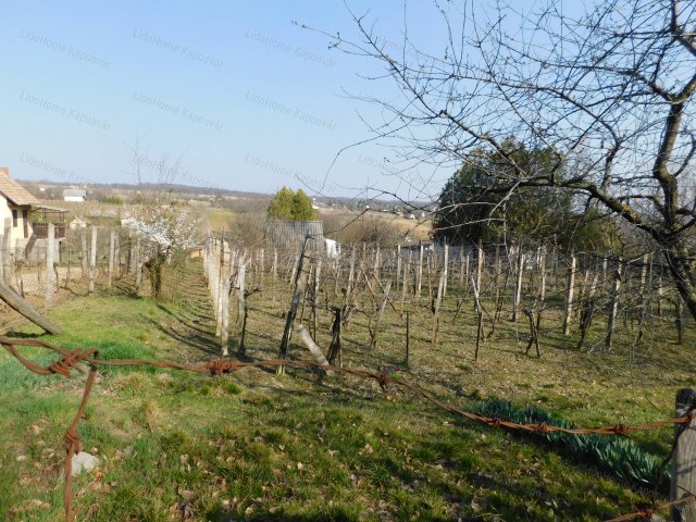 Eladó mezogazdasagi ingatlan, Igalon 5.5 M Ft, 1 szobás