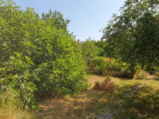 Eladó családi ház, Tapolcán 84.9 M Ft, 4+1 szobás