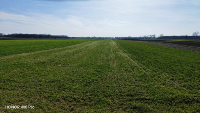 Eladó mezogazdasagi ingatlan, Vasadon 10.3 M Ft