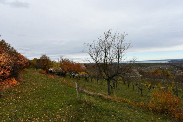 Eladó telek, Pécselyen 24.99 M Ft / költözzbe.hu