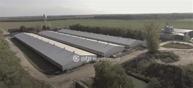 Eladó mezogazdasagi ingatlan, Nagylókon 700 M Ft