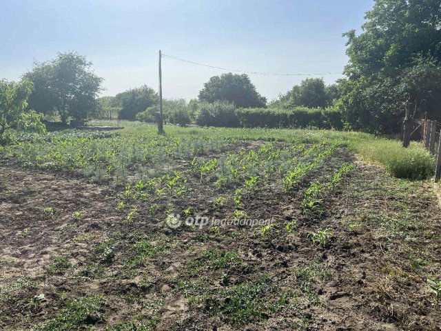 Eladó telek, Cegléden 19.8 M Ft / költözzbe.hu