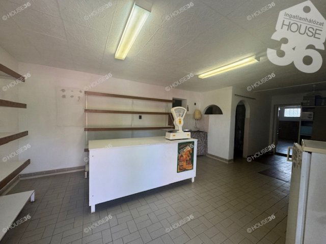 Eladó családi ház, Tiszaalpáron 41.99 M Ft, 5 szobás