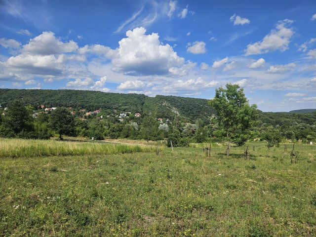Eladó telek, Nagykovácsiban 79 M Ft / költözzbe.hu