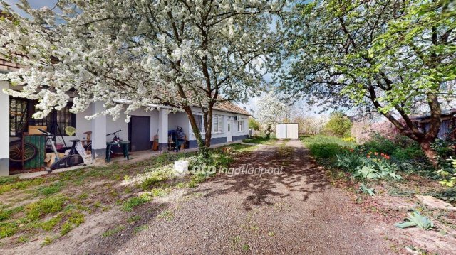 Eladó téglalakás, Polgáron 21.5 M Ft, 1+1 szobás