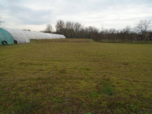 Eladó telek, Cserkeszőlőn 2 M Ft / költözzbe.hu