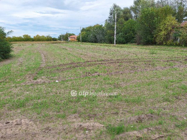 Eladó telek, Tiszakécskén 2.9 M Ft / költözzbe.hu