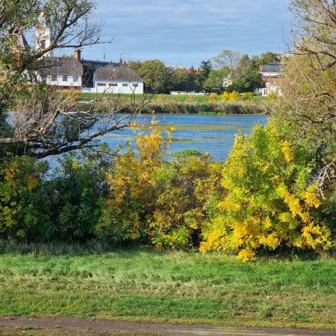 Eladó telek, Mezőtúron 7 M Ft / költözzbe.hu