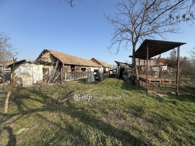 Eladó családi ház, Tiszakécskén 16.9 M Ft, 1 szobás