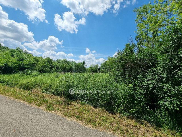 Eladó telek, Mihályházán 1.5 M Ft / költözzbe.hu