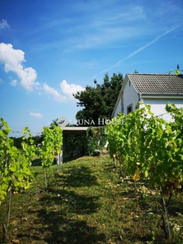 Eladó mezogazdasagi ingatlan, Dobán 24.9 M Ft