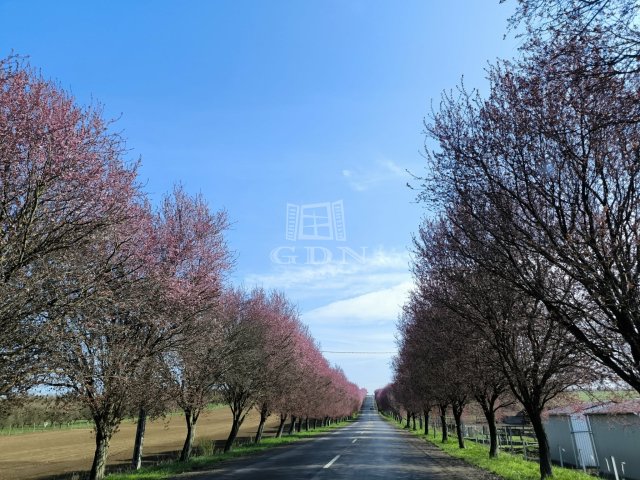 Eladó családi ház, Berkenyén 121.5 M Ft, 3+2 szobás