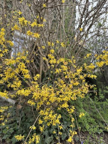 Eladó családi ház, Budapesten, XVIII. kerületben 194.9 M Ft