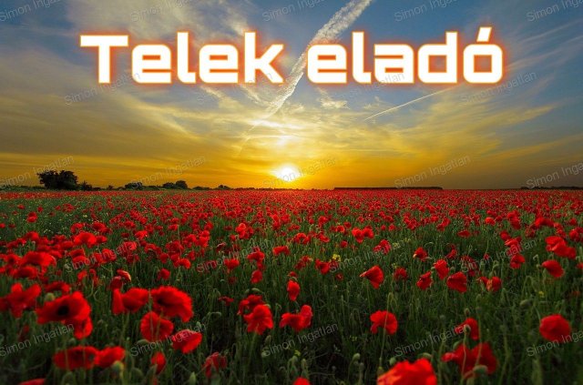 Eladó mezogazdasagi ingatlan, Kecskeméten 16 M Ft