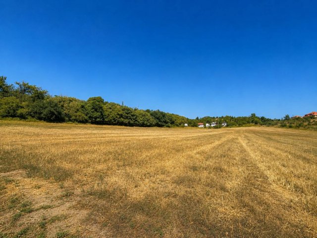 Eladó telek, Dunaszentmiklóson 30 M Ft / költözzbe.hu