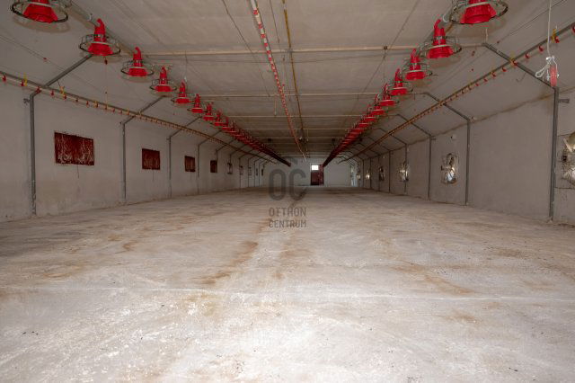 Eladó mezogazdasagi ingatlan, Nyíregyházán 149 M Ft