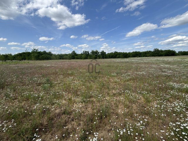 Eladó telek, Debrecenben 17.9 M Ft / költözzbe.hu