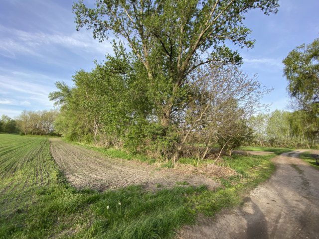 Eladó telek, Komáromban 1.65 M Ft / költözzbe.hu