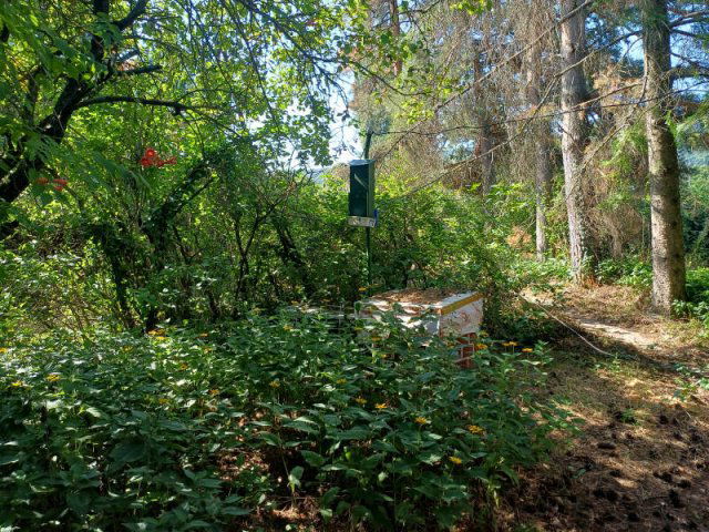 Eladó családi ház, Solymáron 29.9 M Ft / költözzbe.hu