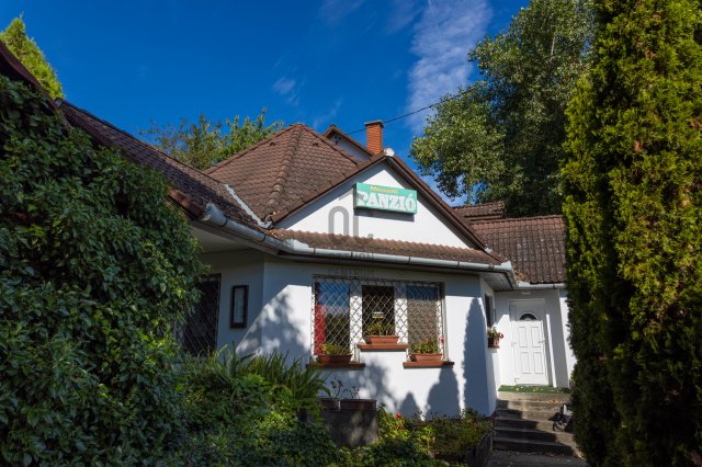 Eladó üzlethelyiség, Nemesnádudvaron 60 M Ft