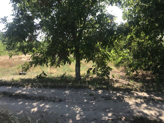 Eladó telek, Gyömrőn 7.5 M Ft / költözzbe.hu