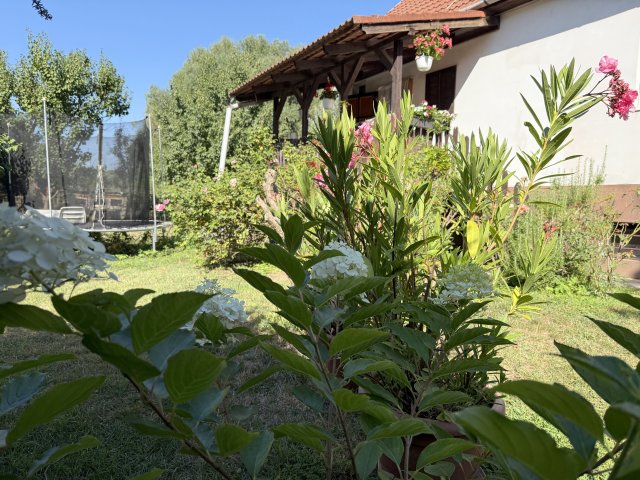 Eladó családi ház, Nagytarcsán 124.9 M Ft, 4 szobás