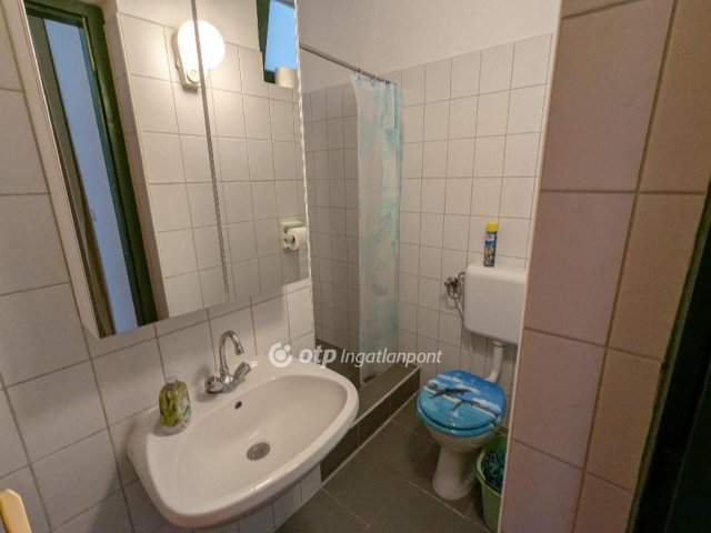 Eladó családi ház, Hajdúszoboszlón 228 M Ft, 9+1 szobás