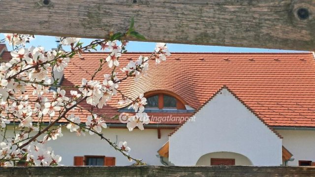 Eladó nyaraló, Balatonalmádiban 321 M Ft, 3+1 szobás