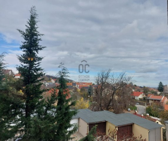 Kiadó téglalakás, albérlet, Szekszárdon, Semmelweis utcában