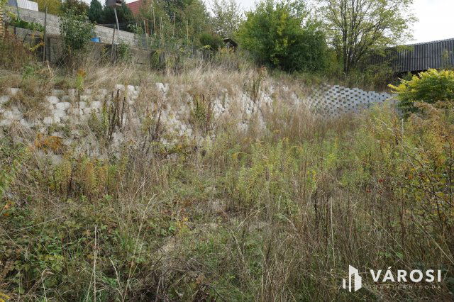 Eladó mezogazdasagi ingatlan, Domonyban 15.8 M Ft