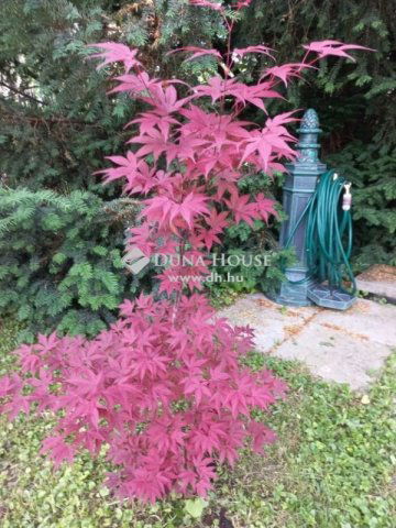 Eladó családi ház, Esztergomban 134.9 M Ft, 5 szobás