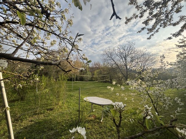 Eladó családi ház, Szárligeten 38 M Ft, 2 szobás