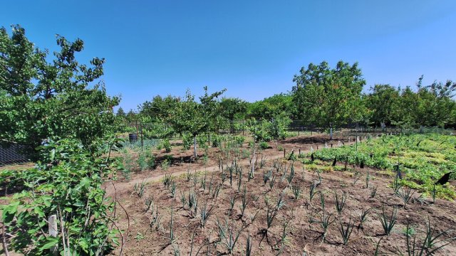 Eladó családi ház, Abonyban 54.9 M Ft, 3 szobás