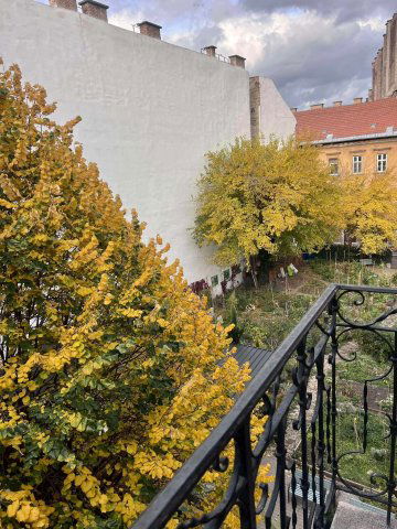 Kiadó téglalakás, albérlet, VII. kerületben, Dob utcában