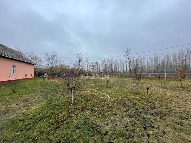 Eladó mezogazdasagi ingatlan, Zákányszéken 17.9 M Ft, 3 szobás