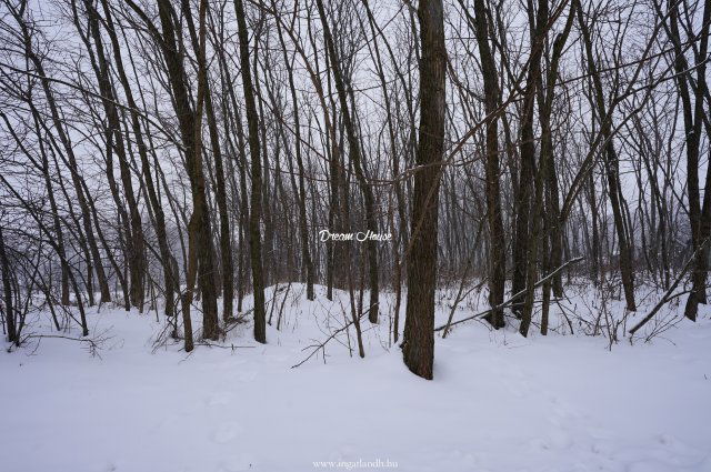 Eladó telek, Nyíregyházán 4.5 M Ft / költözzbe.hu