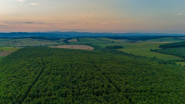 Eladó mezogazdasagi ingatlan, Abodon 99.9 M Ft
