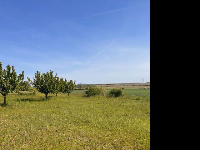 Eladó mezogazdasagi ingatlan, Kistarcsán 9.9 M Ft