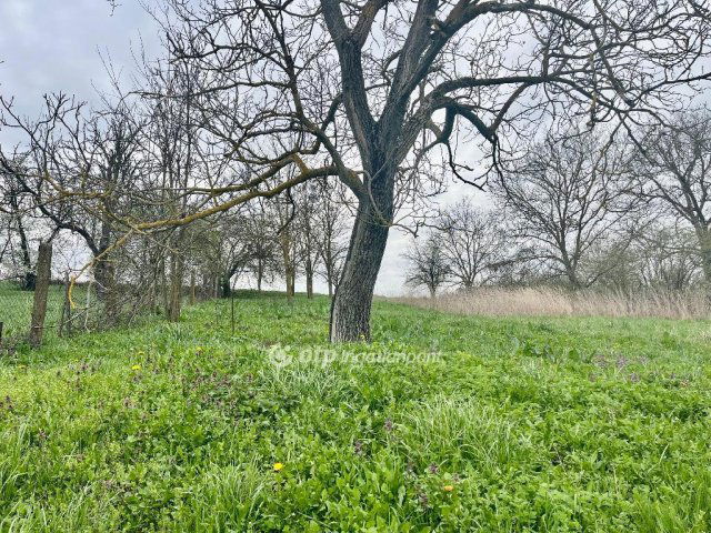 Eladó családi ház, Belvárdgyulán 29 M Ft, 2 szobás